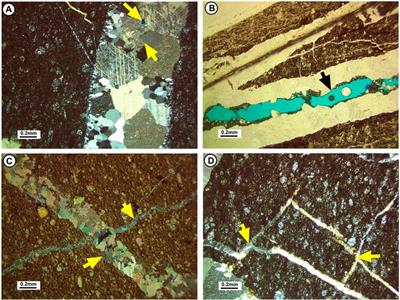 The impact of Oligo-Miocene basaltic intrusions on the petroleum system in Gulf of Suez rift basin, Egypt: new insights into thermal maturity and reservoir quality